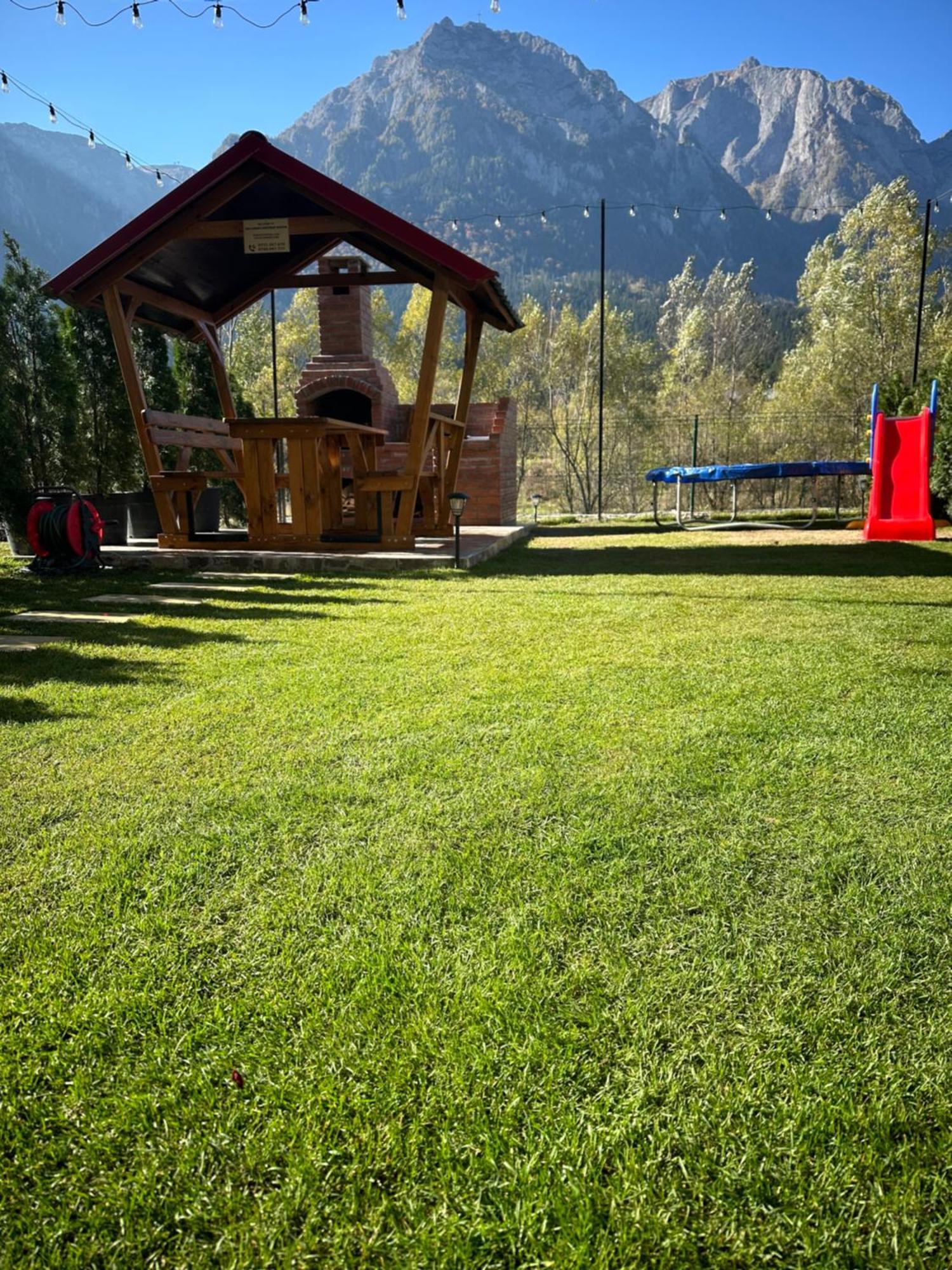 Ama Garden Apartment Busteni Bagian luar foto